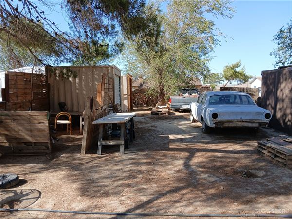 Desert Backyard (5/24/2025 - Credits: Tone Torgersen)