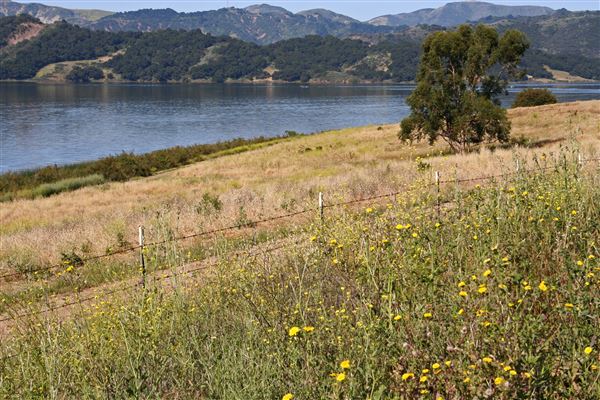 Lake Casitas Recreation Area (5/14/2005 - Credits: Aleta Rodriguez [https://www.flickr.com/photos/wanderingnome/33182285518/in/album-72157603780446231])