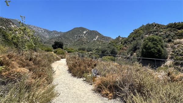 Deukmejian Wilderness Park (7/6/2026 - Credits: Brandy Davis)
