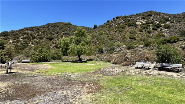 Deukmejian Wilderness Park (7/6/2026 - Credits: Brandy Davis)