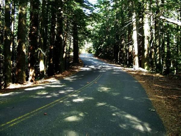 Mount Tamalpais State Park (SP) (12/31/2003)