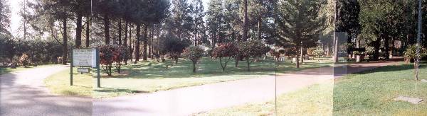 Paradise Cemetery (12/31/2003)