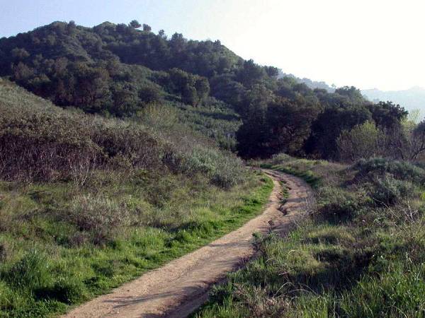Ed Davis Park in Towsley Canyon - Santa Monica Mountains Conservancy - SMMC (12/31/2003)