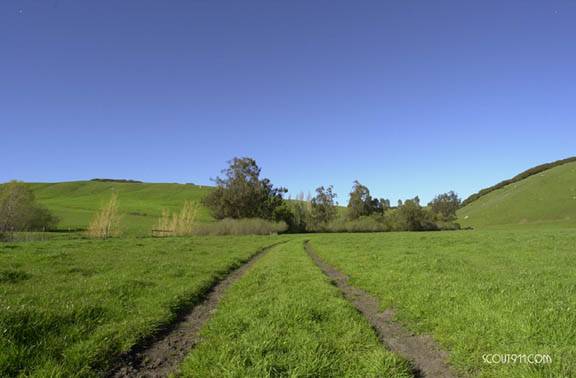 Tresch Dairy (12/31/2003)