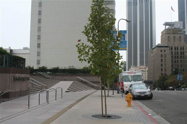 Grand Ave. corner of 5th and Grand (9/1/2010 - Credits: Lindsay Mizrahi)