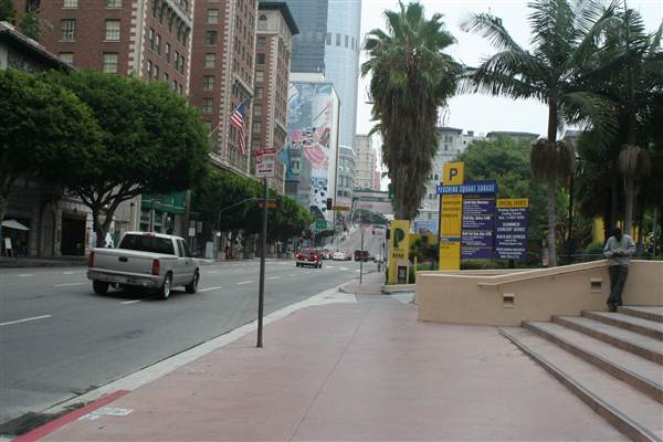 Olive St. between 5th and 6th St. (9/1/2010 - Credits: Lindsay Mizrahi)