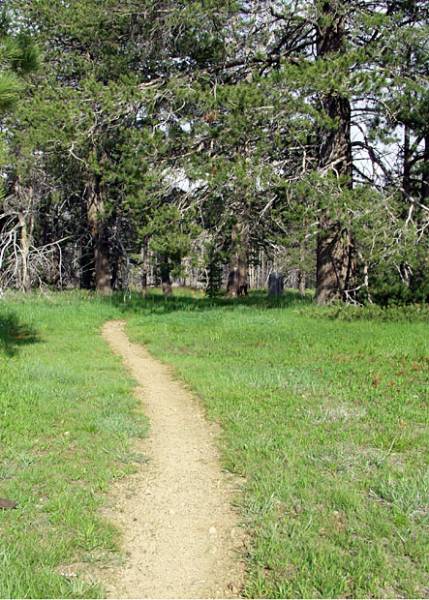 Washoe Meadows State Park (SP) (12/31/2003)
