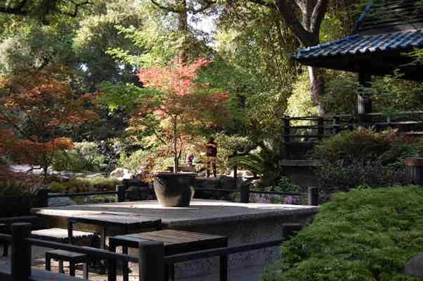 Descanso Gardens - Japanese Garden (6/14/2011 - Credits: David Golden)