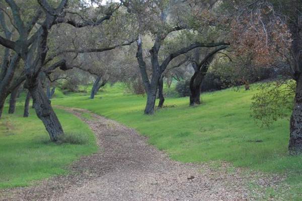 Ventura Farms (6/14/2011 - Credits: David Golden)