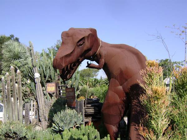 California Nursery Specialties - Cactus Ranch (6/22/2011 - Credits: J. Steven Witkowski)