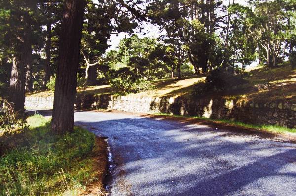 Fern Canyon Road (3/17/2008)