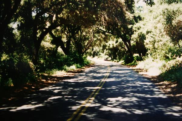 Huasna Road (3/17/2008)