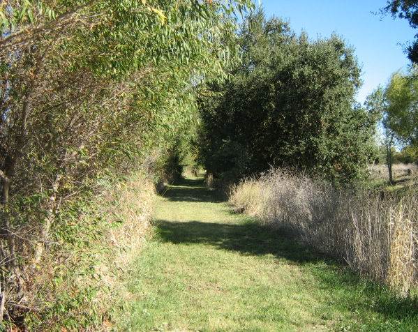 Colusa National Wildlife Refuge (11/10/2011)