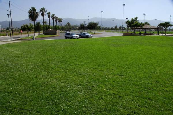 Santana Skate Park (1/8/2008)