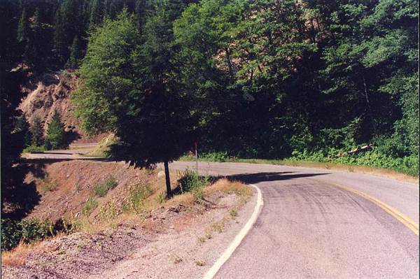 Old McCloud Rd. (9/4/2012)