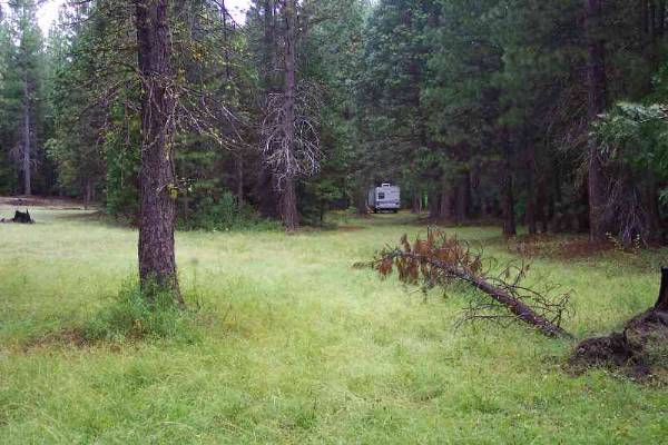 Johnson's Meadow - More Info ? Visit www.filmyosemite,com or call 559.760.1143 (2/5/2009 - Credits: Dave Wolin)