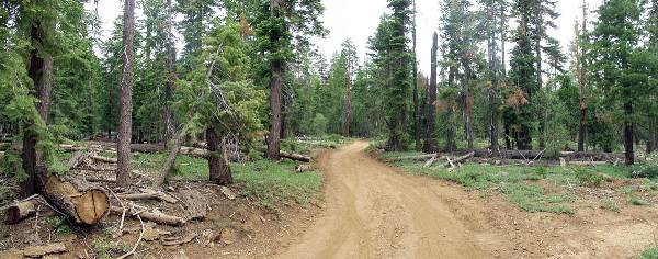 Burton Creek State Park (SP) (12/31/2003)