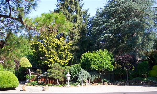 Japanese Tea Garden - San Mateo Central Park & Recreation Center (6/24/2013)