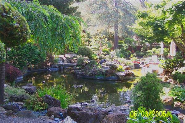 Japanese Tea Garden - San Mateo Central Park & Recreation Center (6/24/2013)