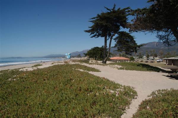 Carpinteria State Beach (SB) (11/4/2013 - Credits: David Golden)