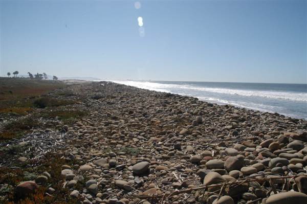 Emma Wood State Beach (SB) (11/4/2013 - Credits: David Golden)