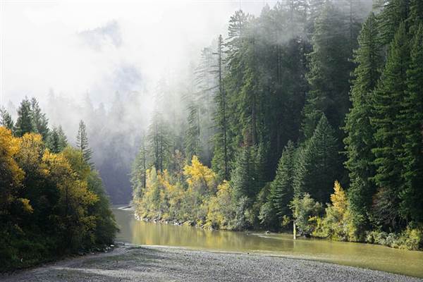 Eel River - South Fork (1/20/2014)