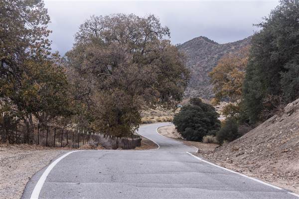 Pyramid Lake (1/26/2015)