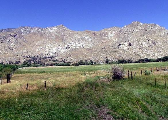 Canebrake Ecological Reserve - California Department of Fish and Wildlife (CDFW) (12/31/2003)
