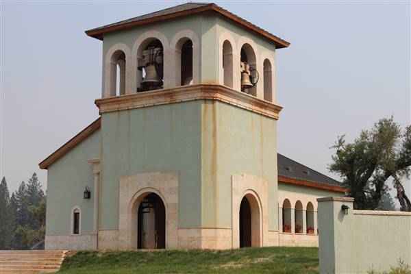 Anselmo Vineyard (10/29/2015)