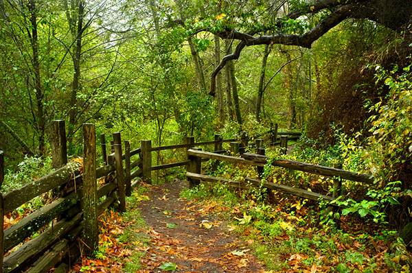 Andrew Molera State Park (SP) (1/8/2016 - Credits: http://www.parks.ca.gov/ImageGallery/?page_id=582)