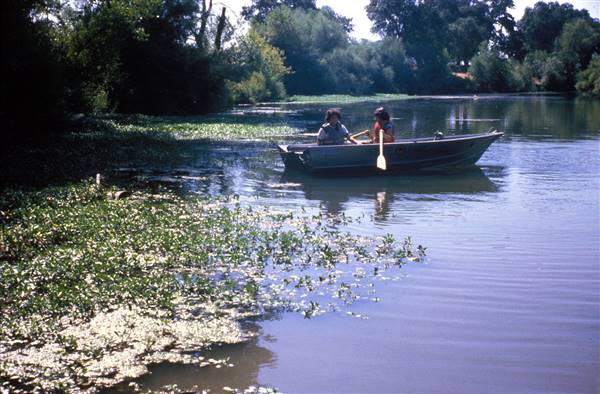 Bidwell-Sacramento River State Park (SP) (1/12/2016 - Credits: Courtesy of California State Parks, 2016)