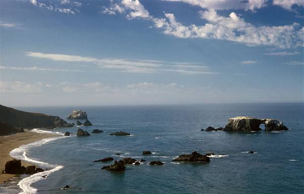 Sonoma Coast State Park (SP) (2/29/2016)