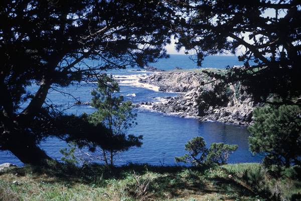 Salt Point State Park (SP) (3/1/2016)