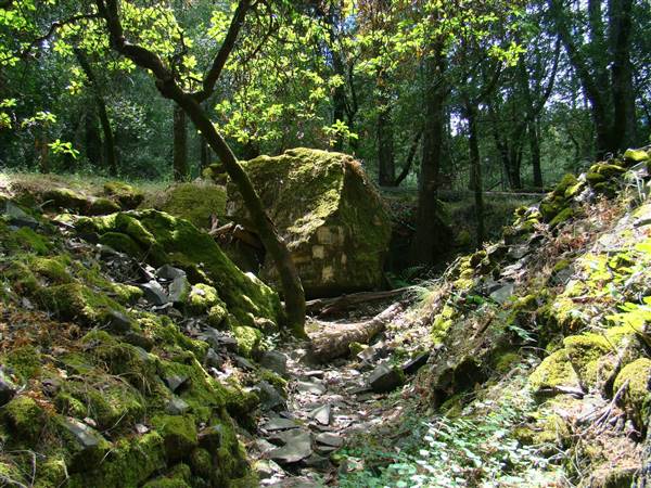 Trione-Annadel State Park (SP) - http://stateparkclosurestrip.blogspot.com/ (3/2/2016 - Credits: Photos courtesy of Lucy D'Mot)