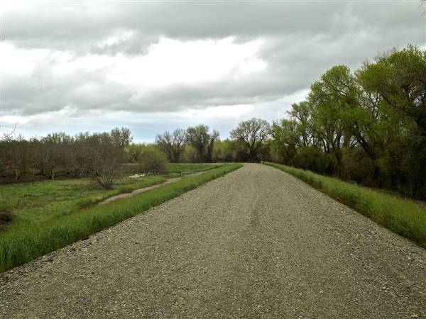 Colusa-Sacramento River State Recreation Area (SRA) - http://stateparkclosurestrip.blogspot.com/ (3/2/2016 - Credits: Photo courtesy of Lucy D'Mot)