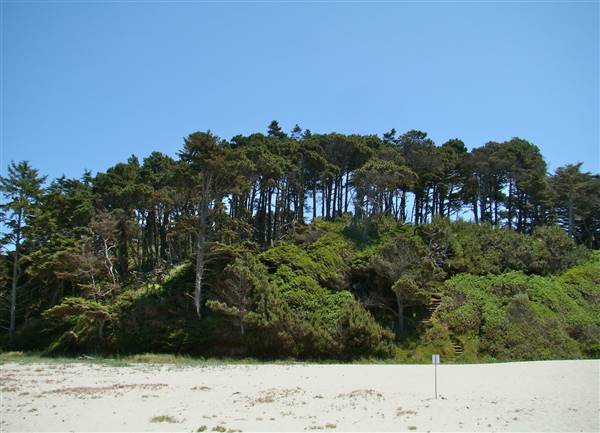 Jug Handle State Natural Reserve (SNR) - http://stateparkclosurestrip.blogspot.com/ (3/2/2016 - Credits: Photo courtesy of Lucy D'Mot)