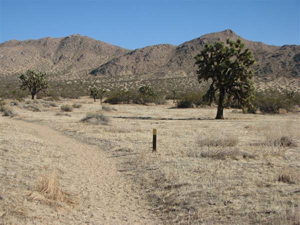 Saddleback Butte State Park (SP) - http://stateparkclosurestrip.blogspot.com/ (3/3/2016 - Credits: Photo courtesy of Lucy D'Mot)