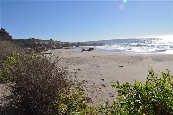 Leo Carrillo State Park and Beach (SP) (3/7/2016 - Credits: Photo courtesy of Robin Citrin)