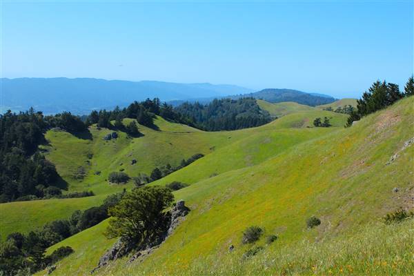 Mount Tamalpais State Park (SP) (3/9/2016 - Credits: Photo courtesy of Marin Convention & Visitors Bureau)