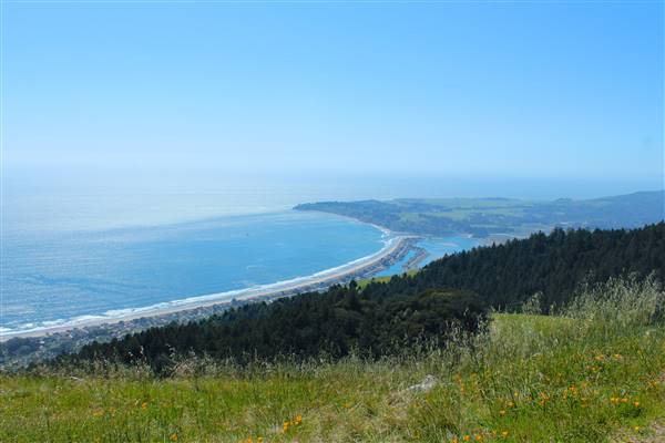 Mount Tamalpais State Park (SP) (3/9/2016 - Credits: Photo courtesy of Marin Convention & Visitors Bureau)