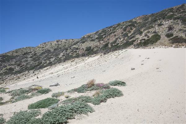 Point Mugu State Park (SP) – Sandy Dune (4/1/2016 - Credits: Photo courtesy of Gillian Bissonnette, California Film Commission)