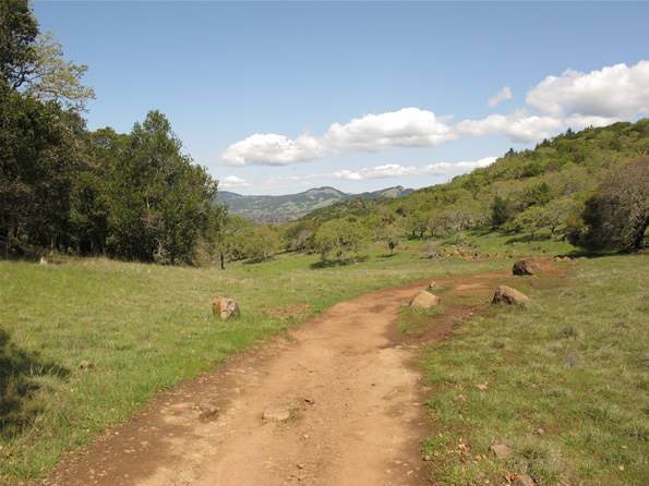 Trione-Annadel State Park (SP) - Photo courtesy of Tim Sartoris (4/7/2016 - Credits: Photo courtesy of Tim Sartoris)
