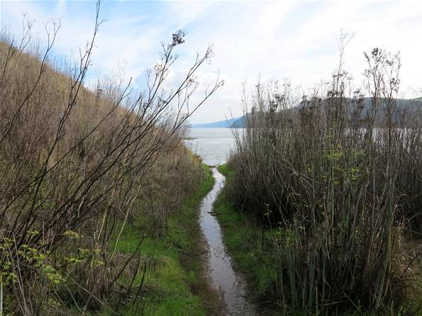 Benicia State Recreation Area (SRA) - Photo courtesy of Tim Sartoris (4/7/2016 - Credits: Photo courtesy of Tim Sartoris)