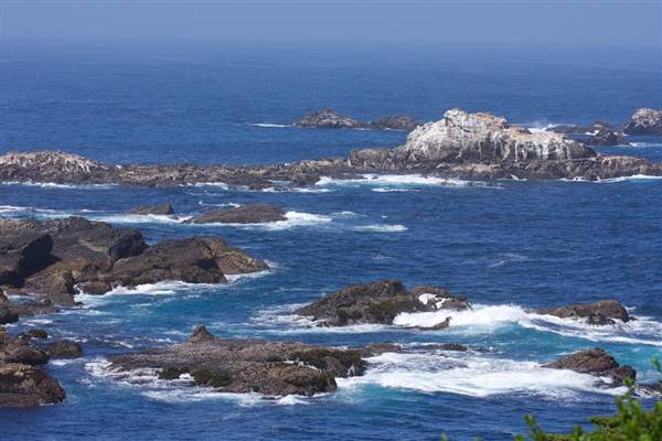 Point Lobos State Natural Reserve (SNR) - Photos by Callie Bowdish - http://www.calliebowdish.com/slideshow/PointLobos/index.html (4/7/2016 - Credits: Photos by Callie Bowdish - http://www.calliebowdish.com/slideshow/PointLobos/index.html)