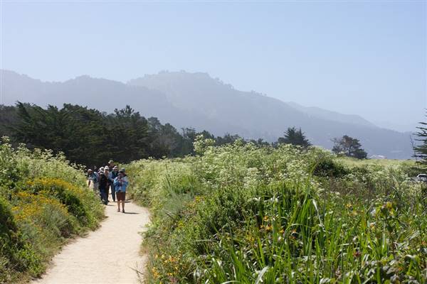 Point Lobos State Natural Reserve (SNR) - Photos by Callie Bowdish - http://www.calliebowdish.com/slideshow/PointLobos/index.html (4/7/2016 - Credits: Photos by Callie Bowdish - http://www.calliebowdish.com/slideshow/PointLobos/index.html)