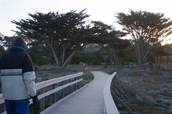 Asilomar State Beach and Conference Grounds - Photo by Callie Bowdish (4/7/2016 - Credits: Photo by Callie Bowdish)