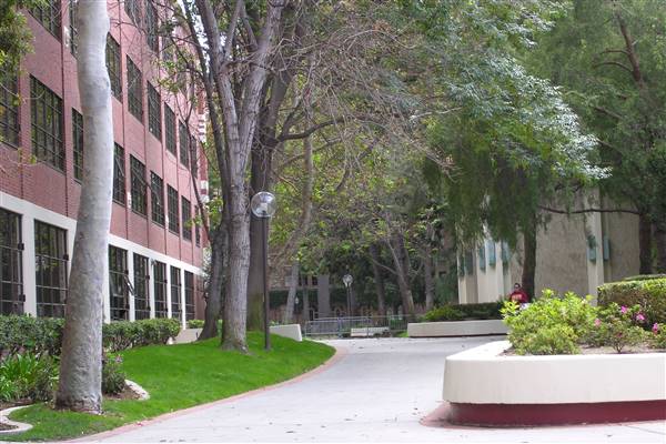 University of Southern California - USC (4/15/2016 - Credits: Photo by Robin Citrin)