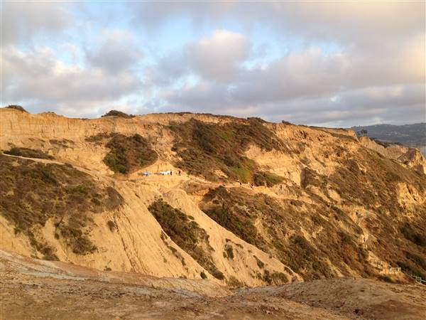 Torrey Pines State Natural Reserve (SNR) (7/6/2013 - Credits: By FASTILY (Own work) [GFDL (http://www.gnu.org/copyleft/fdl.html) or CC BY-SA 3.0 (http://creativecommons.org/licenses/by-sa/3.0)], via Wikimedia Commons)