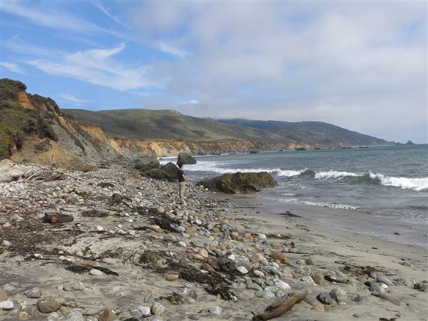 Andrew Molera State Park (SP) (6/15/2014 - Credits: By Eschscholziacalifornicamaritima (Own work) [CC BY-SA 4.0 (http://creativecommons.org/licenses/by-sa/4.0)], via Wikimedia Commons)