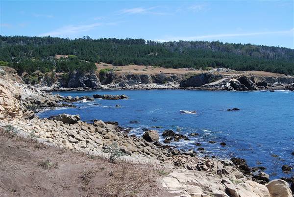Salt Point State Park (SP) (7/20/2007 - Credits: By Kglavin (Own work) [CC BY 2.5 (http://creativecommons.org/licenses/by/2.5)], via Wikimedia Commons)
